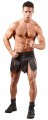 ec0351e64992b0a2b187bb15cabb