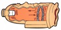 0b4a00cd42f2863eeb9724757407