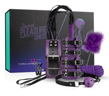 Zestaw Erotyczny Secret Pleasure Purple Apprentice