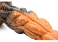 zdjęcie 5