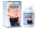 Tabletki Biggest Penis Na Powiększenie Penisa I Erekcję