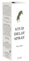 Stud Delay Spray