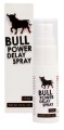 bull-power-delay-spray-ean-8714273302168